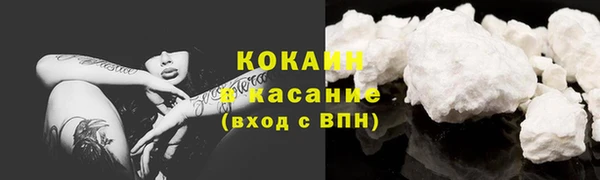 сатива Арсеньев