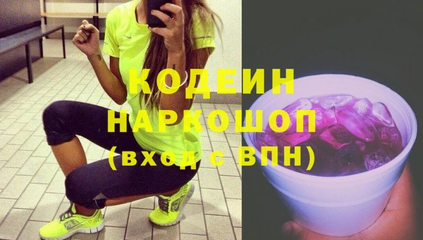 сатива Арсеньев