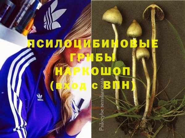 ALPHA PVP Армянск